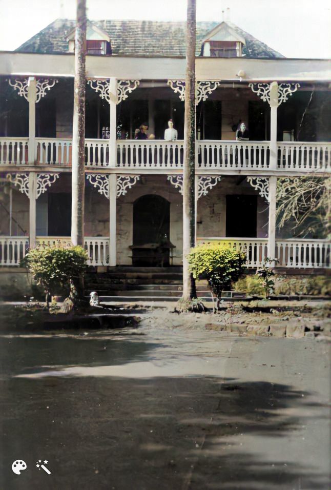 enhanced & colourised 